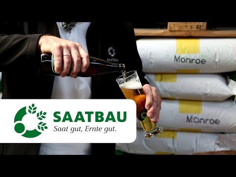 MONROE - Winterbraugerste