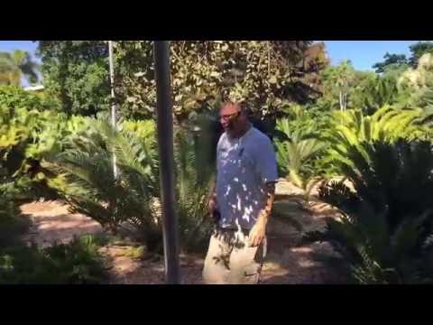 Tour Guide at Fairchild's Tropical Botanical Garden Miami , FL