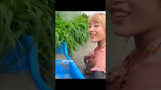 catching fish - hot girl enjoying catching fish #tiktok #fishing #fish #catchingfish