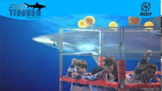 DIA 2 Expo Tiburon161