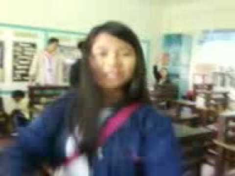 ROALCI Grade VI Amber 2008-2009