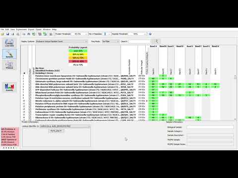Video Tutorial for Scaffold Software