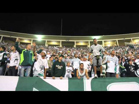 FotoTorcida - Mancha Verde no Pacaembu