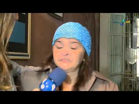 Pânico na TV 14/08/11 - Sabrina ajuda cães abandonados