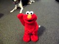 Tickle Me Elmo X TMX Elmo Avi