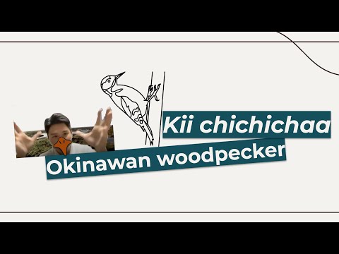 Let's speak Uchinaaguchi! - Kii chichichaa