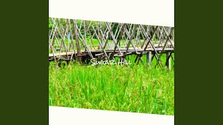 This World Is Not My Home