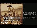 Vicente Fernández - Juan Charrasqueado (Cover Audio)