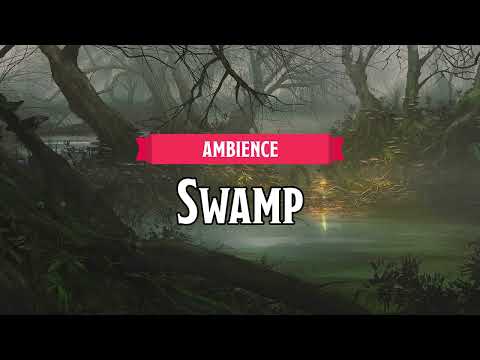 Swamp | D&D/TTRPG Ambience | 1 Hour