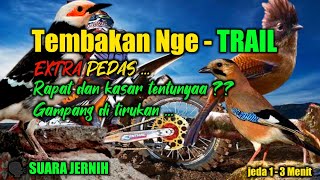 Download lagu TERPOPULER 🔴 Masteran Kombinasi Tembakan Kasar dan Rapat ▪️ suara jernih , berjeda , gampang di tiru mp3 Download lagu TERPOPULER 🔴 Masteran Kombinasi Tembakan Kasar dan Rapat ▪️ suara jernih , berjeda , gampang di tiru mp3