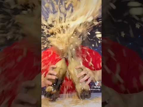 Kacho VS Junya Best Funny Video 🥺🥺🥺 l KACHO Best TikTok May 2025