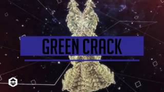 Classic Strain Series: Green Crack