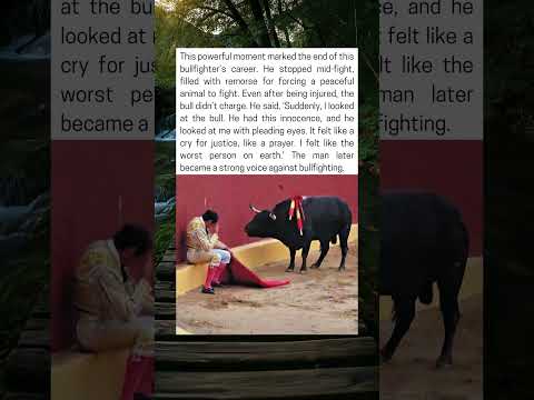 Bullfighter Walks Away After Locking Eyes with a Bull