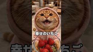 甘すぎる理由が可愛すぎた😊❤️ #cat #子ネコ #猫のいる暮らし #猫のいる生活 #猫好きさんと繋がりたい #猫動画 #cute #かわいい猫 #可愛い猫