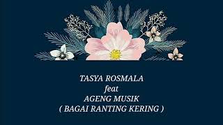 Download lagu TASYA ROSMALA ft AGENG MUSIK _ BAGAI RANTING KERING Lirik mp3