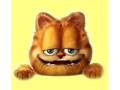 Garfield Mp4