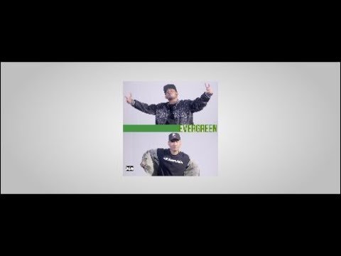 FLAVA EFFECT - EVERGREEN