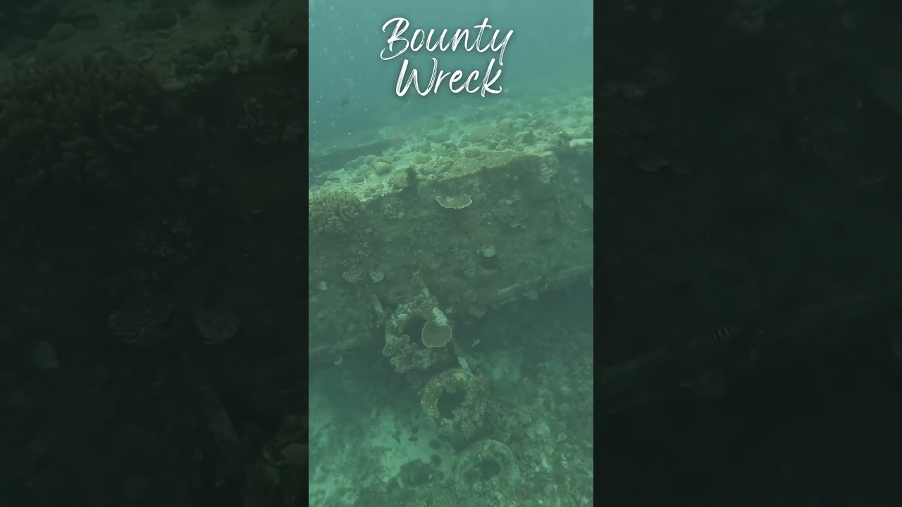 YouTube Short thumbnail