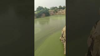 Download lagu #Mulumathy Avalathu Mugamaagum#A R Rahman#green screen video #nivesh #nature #viral#trending# mp3 Download lagu #Mulumathy Avalathu Mugamaagum#A R Rahman#green screen video #nivesh #nature #viral#trending# mp3