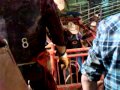 Jesse Getting Tied In 4 6 2012 3GP