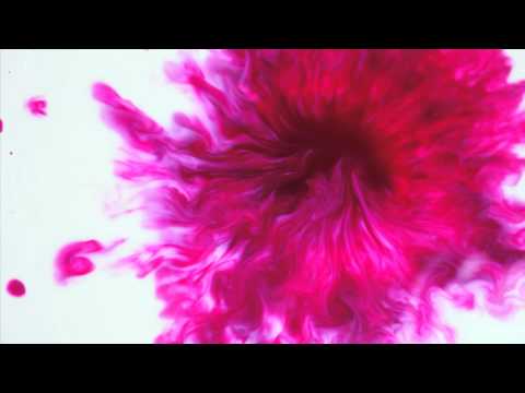 Voice Hands Machine - Take Your Hand