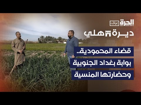 فيديو | ديرة هلي | المحمودية.. بوابة بغداد الجنوبية وحضارتها المنسية