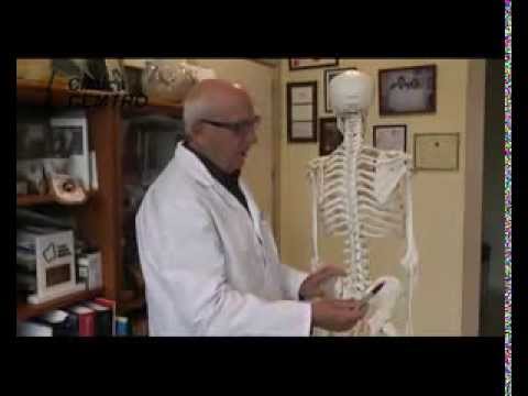 Doctor, ¿qué es una hernia discal?