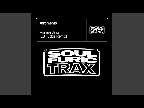 Human Wave (DJ Fudge Remix)