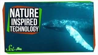 8 Useful Technologies Inspired by Nature