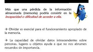 Aprendizaje y memoria - Profundizaciones