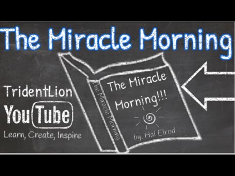 The Miracle Morning by Hal Elrod Animation Book Summary
