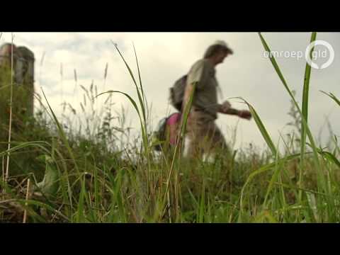 4Daagse Journaal 16-07-2014 Controle afsnijden