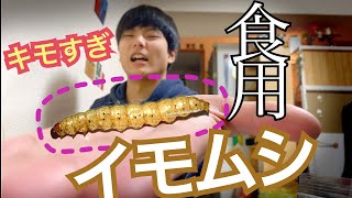 【罰ゲームはイモムシ】虫嫌いが罰ゲームでイモムシを食ったら大惨事に…。【うっしぃ】
