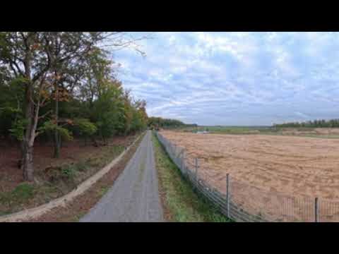 15.10.25 360 grad Aufnahme in der Waldbesetzung Banny Bleibt bei Frankfurt