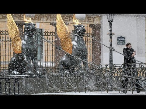Снегопад обрушился на Санкт-Петербург