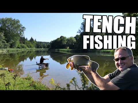 Waggler Fishing for Tench on an Old Estate Tench Lake
