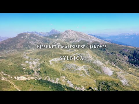 BJESHKËT E MALËSISË SË GJAKOVËS  SYLBICA
