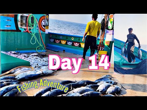 Big Fish Catch After a Tough Day! | Day 14 at Sea | S01-EP14 | Pakistani Ocean Series 🎣