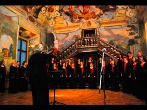 Solzice - Mala terasa