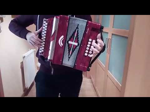 boppola accordions - Trikitrixa