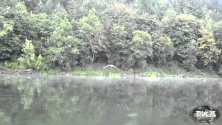 preview picture of video 'Osprey Catches Smallmouth Bass'