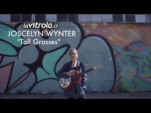 LaVitrola.cl: Joscelyn Wynter - Tall grasses