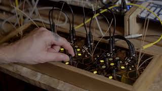 Video thumbnail for Folktek Resonant Garden - video 3 (of 8) by Folktek