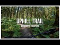 Uphill MTB Trail In Trailpark Winterberg Is A FLOW Ride Trail Preview 4K