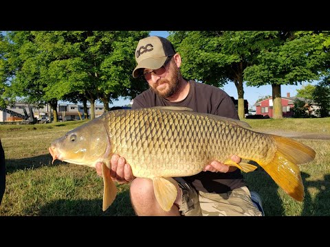 Urban Canal Carp Fishing