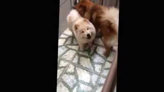 Éron e Felicia (Part. 1) - 12.01.2015