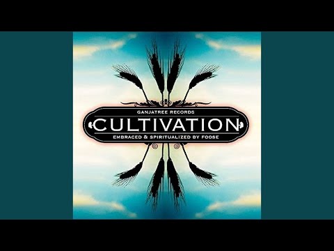 Cultivation (feat. Foose)