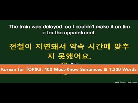 Korean for TOPIK 3: 400 Must-Know Sentences & 1,200 Words for Everyday Life -Parrot Language