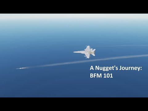 A Nugget's Journey: BFM 101