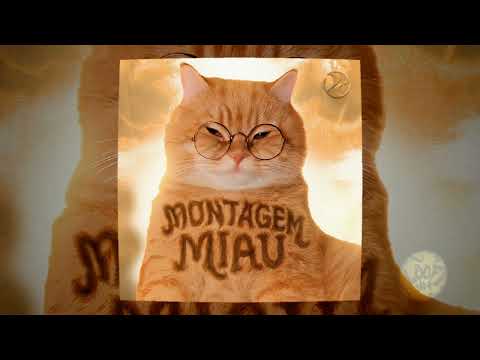 MONTAGEM MIAU
